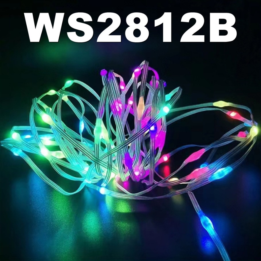 WS2812B LED 빛 문자열 스마트 블루투스 원격  - Led Fairy String Lights 리뷰 및 가격